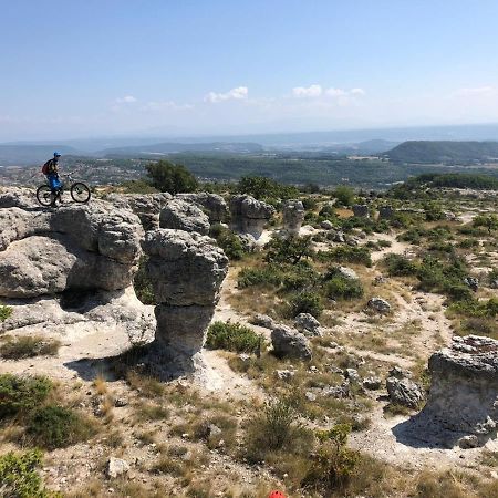 Reve De Provence Villa Avec Jardin Et Piscine Forcalquier Dış mekan fotoğraf