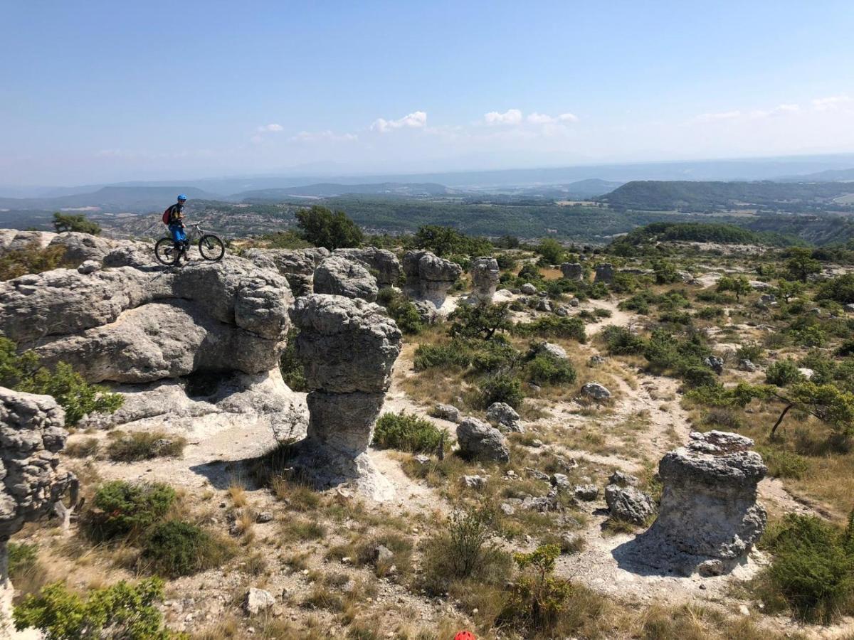 Reve De Provence Villa Avec Jardin Et Piscine Forcalquier Dış mekan fotoğraf