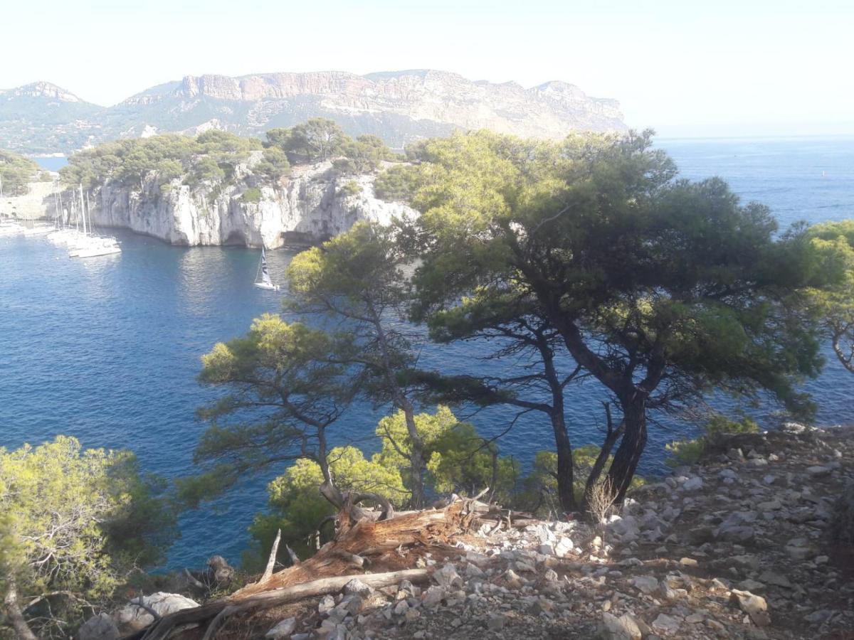 Reve De Provence Villa Avec Jardin Et Piscine Forcalquier Dış mekan fotoğraf