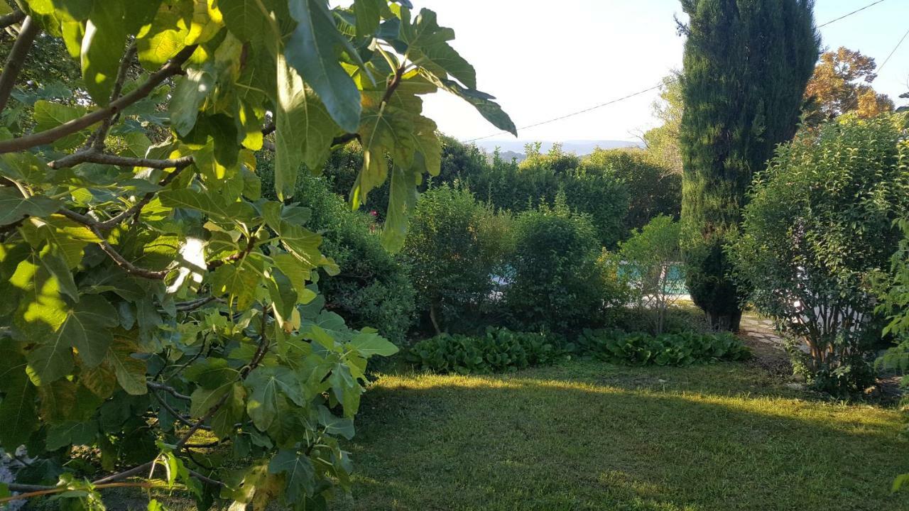 Reve De Provence Villa Avec Jardin Et Piscine Forcalquier Dış mekan fotoğraf